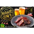 宮崎牛ビーフジャーキー30g×3パック