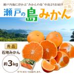 瀬戸内海の島みかん 秀品 BOX入 約3kg