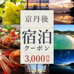 京丹後宿泊クーポン 3 000円券×1枚