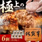 生ハンバーグ 6個