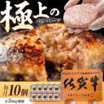佐賀牛入り生ハンバーグ 10個
