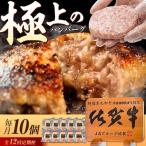 佐賀牛入り生ハンバーグ 10個