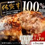 佐賀牛ハンバーグ 5個