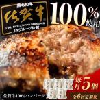 佐賀牛ハンバーグ 5個