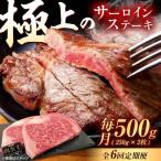 牛肉 サーロイン 6回定期便 佐賀牛 サーロインステーキ 500g