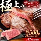 牛肉 サーロイン 12回定期便 佐賀牛 サーロインステーキ 50…