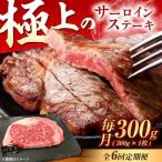 牛肉 サーロイン 6回定期便 佐賀牛 サーロインステーキ 300g