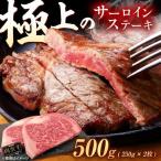 佐賀牛 サーロインステーキ 500g