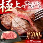 佐賀牛 サーロインステーキ 300g
