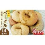 おまかせ ベーグル 14個セット