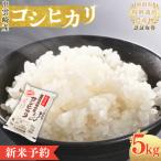 新米 新潟産 コシヒカリ 5kg