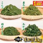三陸 大船渡産 海藻 味わいつくしセットB