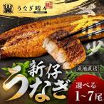 うなぎ晴々 蒲焼き 新仔 5尾
