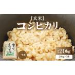 ふるさと納税 【先行予約】【令和8年産・新米】コシヒカリ 玄米 20kg / コシヒカリ 米 こしひかり【2026年9月下旬より順次発送予定】 [aw096-d.. 福井県あわら市