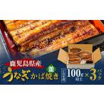 老舗うなぎ屋のうなぎのかば焼き 3尾