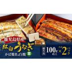 老舗うなぎ屋の紅白うなぎ うなぎ かば焼き 1尾