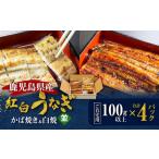 老舗うなぎ屋の紅白うなぎ うなぎ かば焼き 2尾