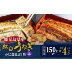 老舗うなぎ屋の紅白うなぎ うなぎ かば焼き 2尾
