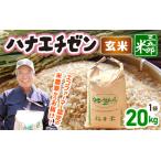 米 令和8年産 ハナエチゼン 20kg