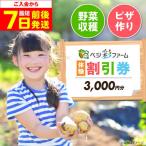 ベジ彩ファーム 割引チケット 3 000円分