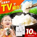 お米 令和7年産 キヌヒカリ 10キロ