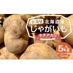 ふるさと納税 【訳あり】北海道産 じゃがいも キタアカリ M〜2Lサイズ混載 約5kg 1箱 山田農場 ジャガイモ 芋 いも イモ 訳アリ わけあり ワケア.. 北海道京極町