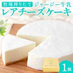 地酒ケーキ しっとりふわふわ カステラ風ケーキ