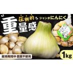 産ジャンボニンニク1kg