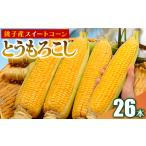 とうもろこし 26本