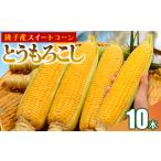 とうもろこし 10本