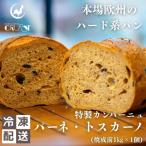 カンパーニュ ハード系パン パーネトスカーノ