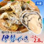 伊勢かき 殻付き 22個