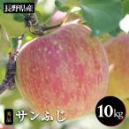 りんご サンふじ 約10kg
