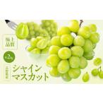 ふるさと納税 【2026年先行予約】長野県産 シャインマスカット 秀品 約2kg〈2026年9月下旬〜11月上旬発送〉| 長野県 飯田市 長野県飯田市