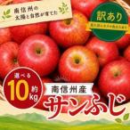 訳あり品 サンふじ 約10kg