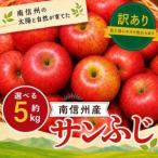 訳あり品 サンふじ 約5kg