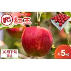 ふるさと納税 【2025年10月下旬発送】【訳あり】 りんご 5kg 紅玉 アップルパイ に最適 青森 不揃い 青森県五所川原市