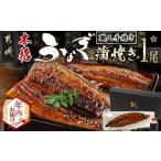 ふるさと納税 【年内お届け】職人手焼きの本格うなぎ蒲焼き1尾≪2025年12月15日〜31日お届け≫_LG8-3310-HNY_(都城市) 国産 本格 うなぎ 鰻 蒲焼.. 宮崎県都城市