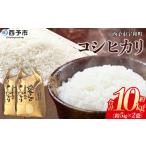 お米 コメ こめ 白米 精米 単一原料米 ご飯 白飯