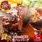 おおいた和牛100% 生ハンバーグ 160g×5個