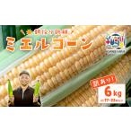 ふるさと納税 とうもろこし 訳あり ミエルコーン 約6kg 先行予約 トウモロコシ 茨城県下妻市