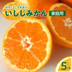 先行受付 2026年12月~発送 石地みかん 5kg