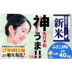 産ふさこがね40kg 5kg×8袋