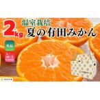 ハウスみかん 温室栽培 夏の有田みかん 約2kg
