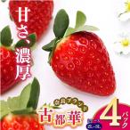 平群の古都華 2L