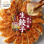 一徹堂 冷凍生餃子 30個