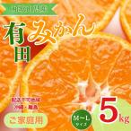 和歌山有田みかん約5kg