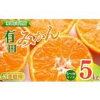 ふるさと納税 【ご家庭用】和歌山有田みかん約5kg(S、Mサイズ)〇 | みかん 有田みかん 温州みかん ミカン 温州ミカン 柑橘 果物 フルーツ 甘.. 和歌山県美浜町