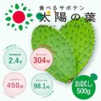 食べるサボテン 太陽の葉 フレッシュリーフ