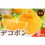 不知火 約5kg